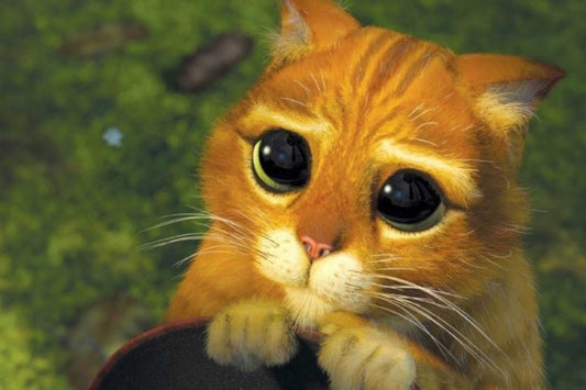 BATA DE GATITOS WONDERWINK